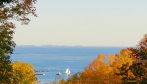 Autumn trees with vista of the bay and sailboat