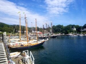 boats docked in the harbor 